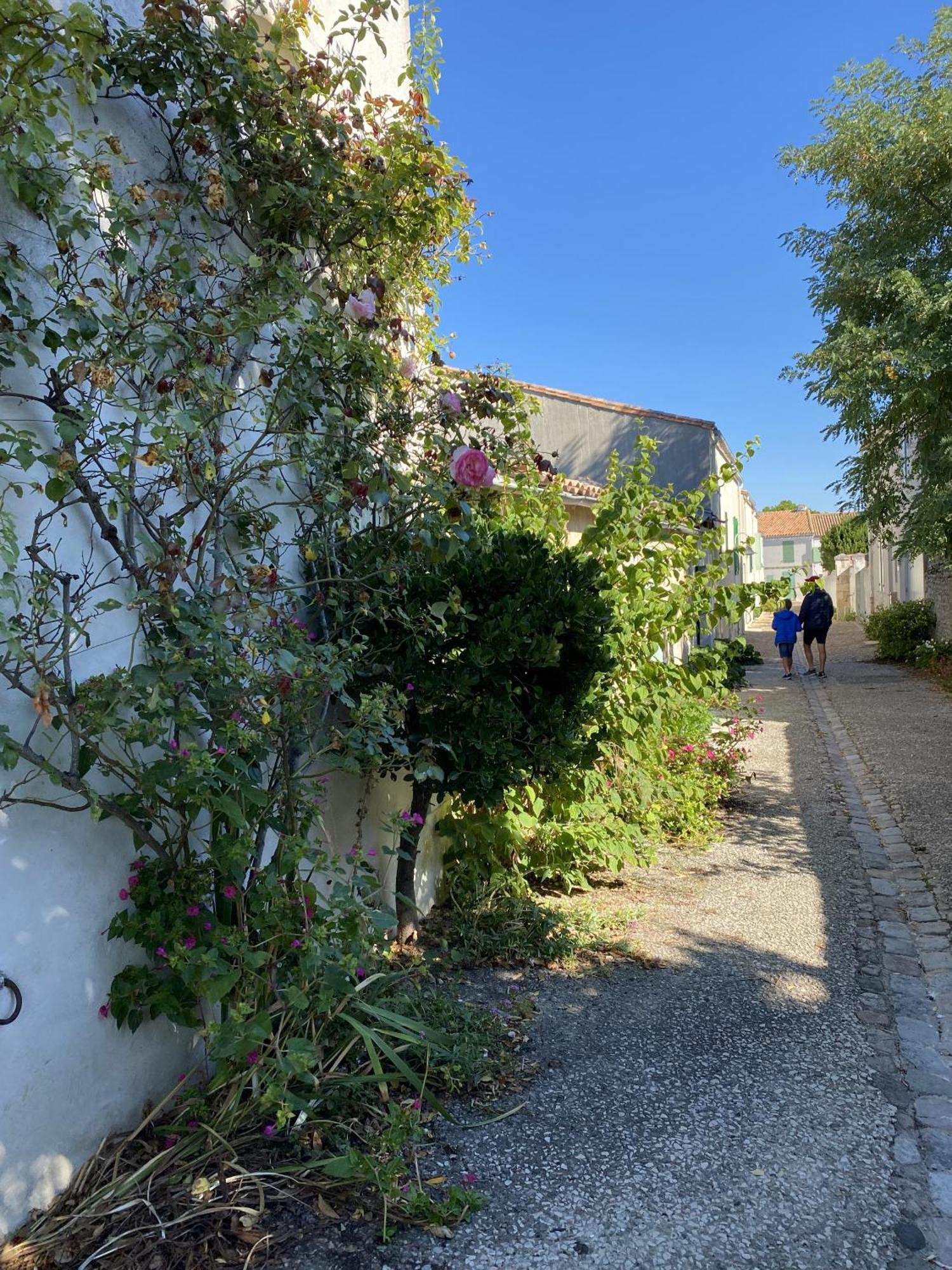 Ferienwohnung Les Remparts Saint-Martin-de-Ré Exterior foto